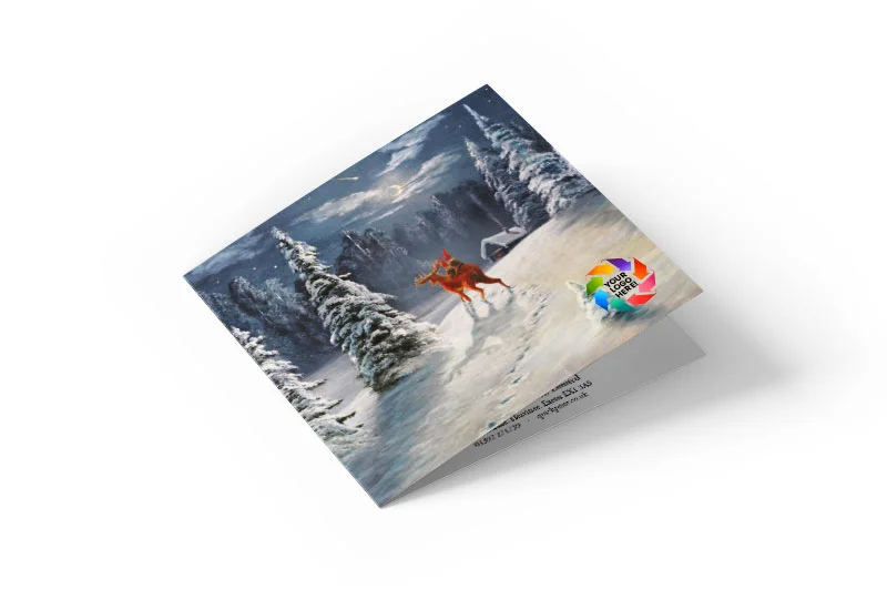 A Christmas Night Trek