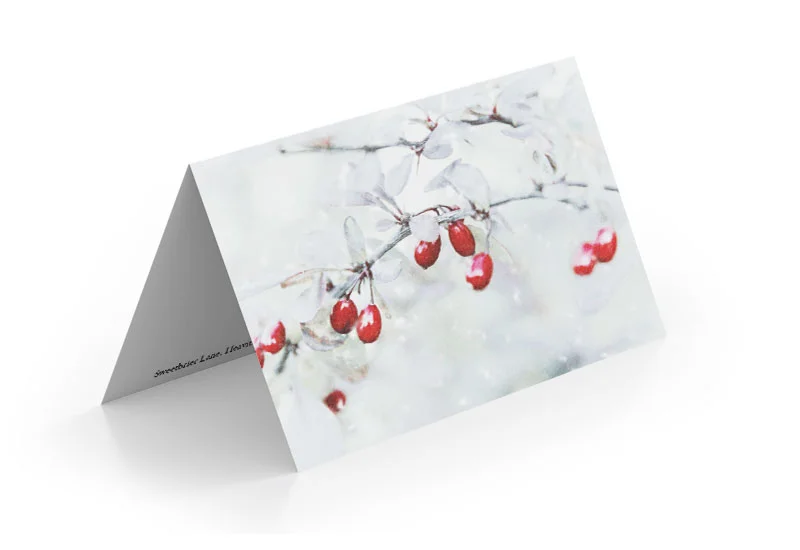 Merry Berry