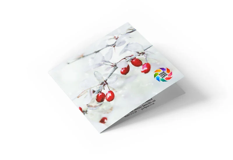 Merry Berry