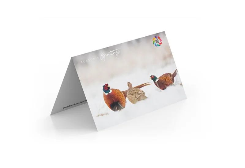 Pleasant Pheasants