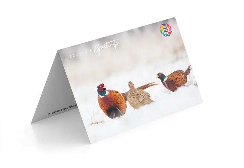 Pleasant Pheasants A5