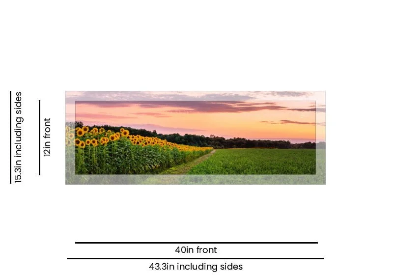 Canvas Prints