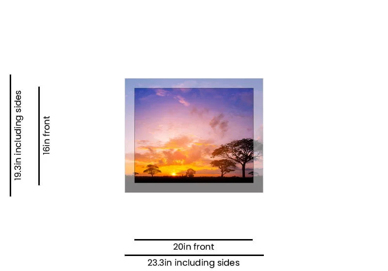 Canvas Prints