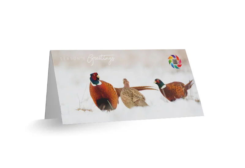 Pleasant Pheasants