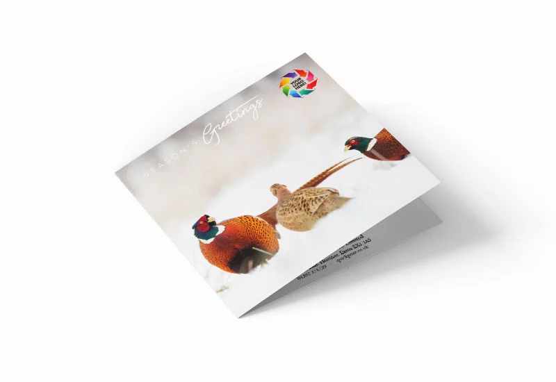 Pleasant Pheasants
